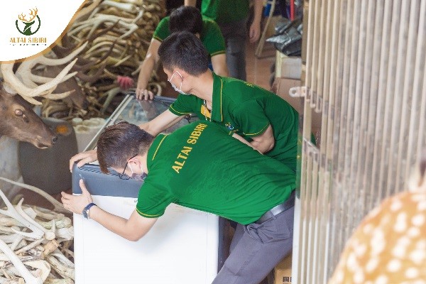 altai sibiri tiếp sức bắc giang